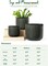 Set of 3 Ceramic Planters with Drainage Holes (Reactive Glaze Dark Olive)